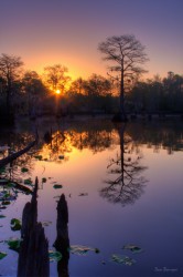 Serene Morning at the Millpond landscape photo by Dan Bourque