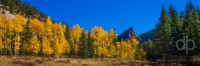 Aspens in the Crags landscape panorama by Dan Bourque