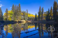 Autumn at Lost Pond landscape photo by Dan Bourque