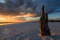 Beach Bum at Sunset landscape photo by Dan Bourque