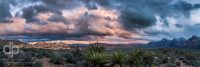 Desert Contrast landscape panorama by Dan Bourque