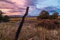 Fencepost at Sunset landscape photo by Dan Bourque