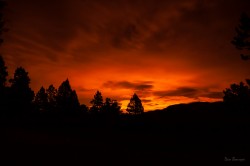 Fiery Glow on the Horizon night photo of Mueller State Park Colorado by Dan Bourque