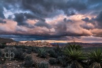 Gathering Storm over the Desert landscape photo by Dan Bourque