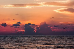 Gulf Sunset Lined in Gold landscape photo of Florida Gulf Coast by Dan Bourque