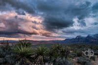 High Desert Sunset landscape photo by Dan Bourque