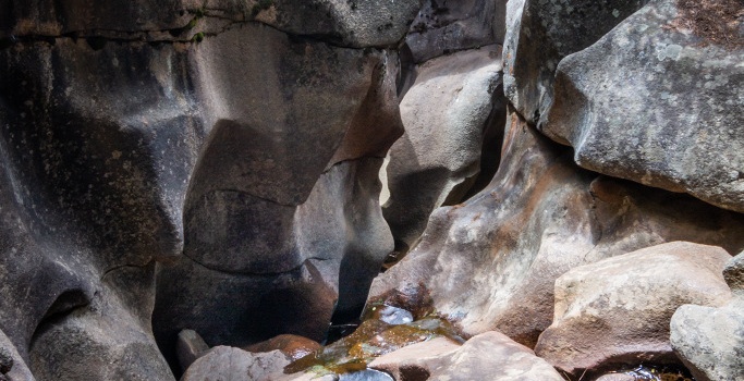 Mysterious Canyon landscape photo by Dan Bourque