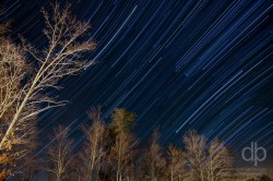 Orion and Company star trail photo over Kentucky by Dan Bourque