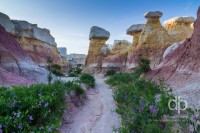 Paint Mines landscape photo by Dan Bourque