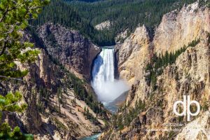 Portrait of Lower Falls of the Yellowstone