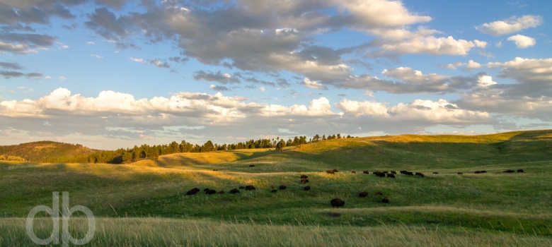 Prairie Shadows landscape photo by Dan Bourque