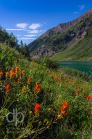 Red Flowers on Emerald Lake landscape photo by Dan Bourque