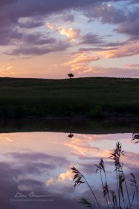 Reflecting Solitude landscape photo by Dan Bourque