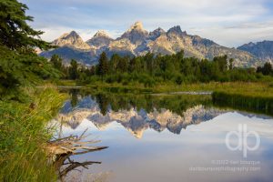 Reflections of Light and Shadow landscape photo by Dan Bourque