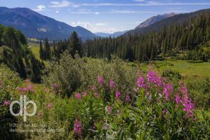 Rocky Mountain Summer Sublime landscape photo by Dan Bourque