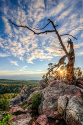 Sunset on the Old Ent landscape photo of Mueller State Park Colorado by Dan Bourque