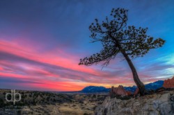 Solitude at Sunset landscape photo Garden of the Gods Colorado by Dan Bourque