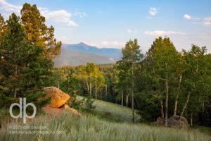 Summer Angles landscape photo by Dan Bourque