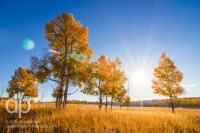 Sun Over Fall Fields landscape photo by Dan Bourque