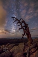 The Old and the Ancient night landscape photo by Dan Bourque