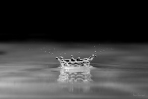 Watery Crown water drop photo by Dan Bourque