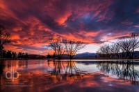 Winter Sunset Reflection landscape photo by Dan Bourque